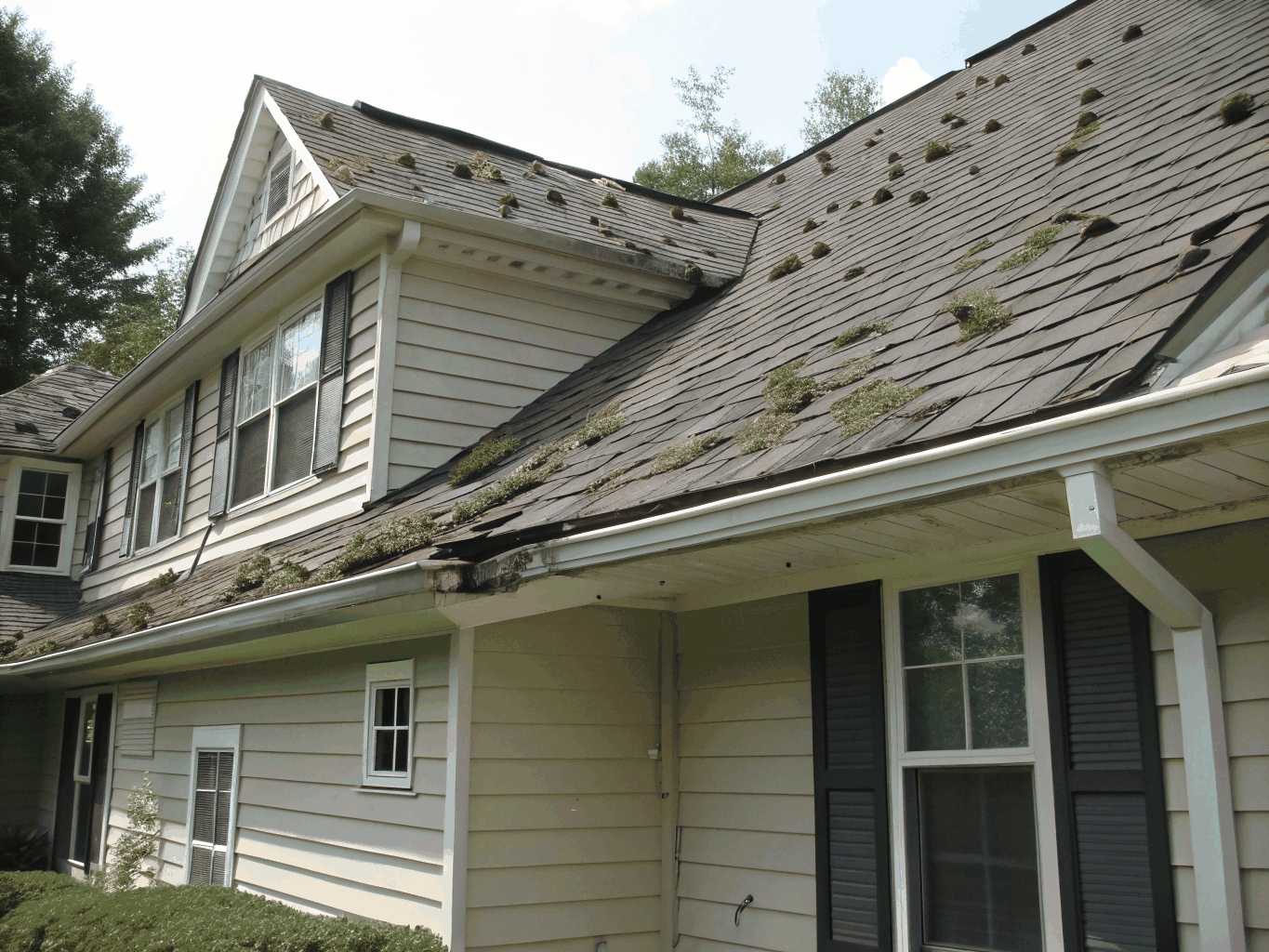 Aged, curling asphalt shingles on a suburban roof before replacement